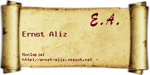 Ernst Aliz névjegykártya